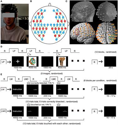 Hemispheric Lateralization of Visuospatial Attention Is Independent of Language Production on Right-Handers: Evidence From Functional Near-Infrared Spectroscopy